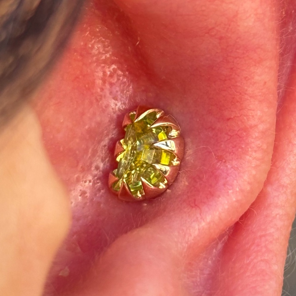 Conch — Peridoto engarzado en oro 15K — Katozz Piercing Sevilla