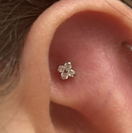 Faux Rook — Flor CZ titanio — Katozz Piercing Sevilla