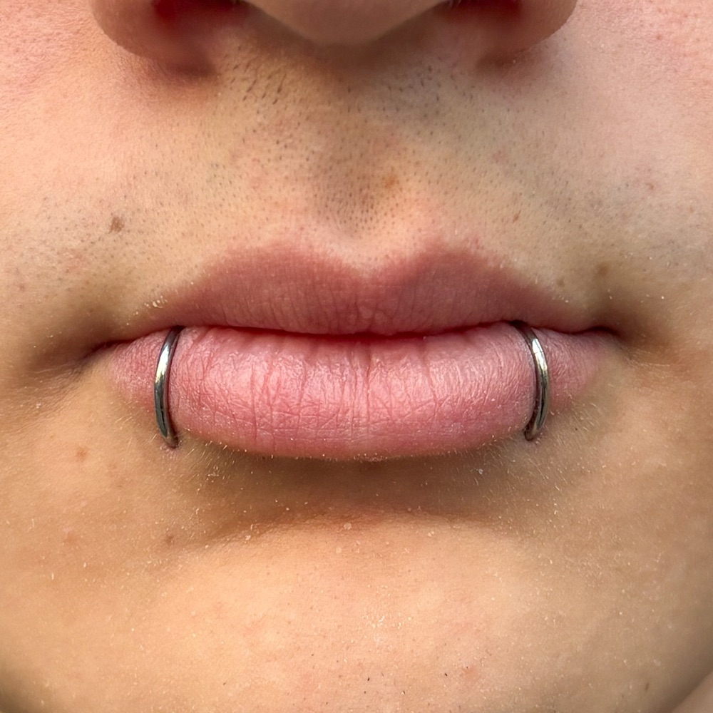 Snake Bites — Segment rings titanio — Katozz Piercing Sevilla