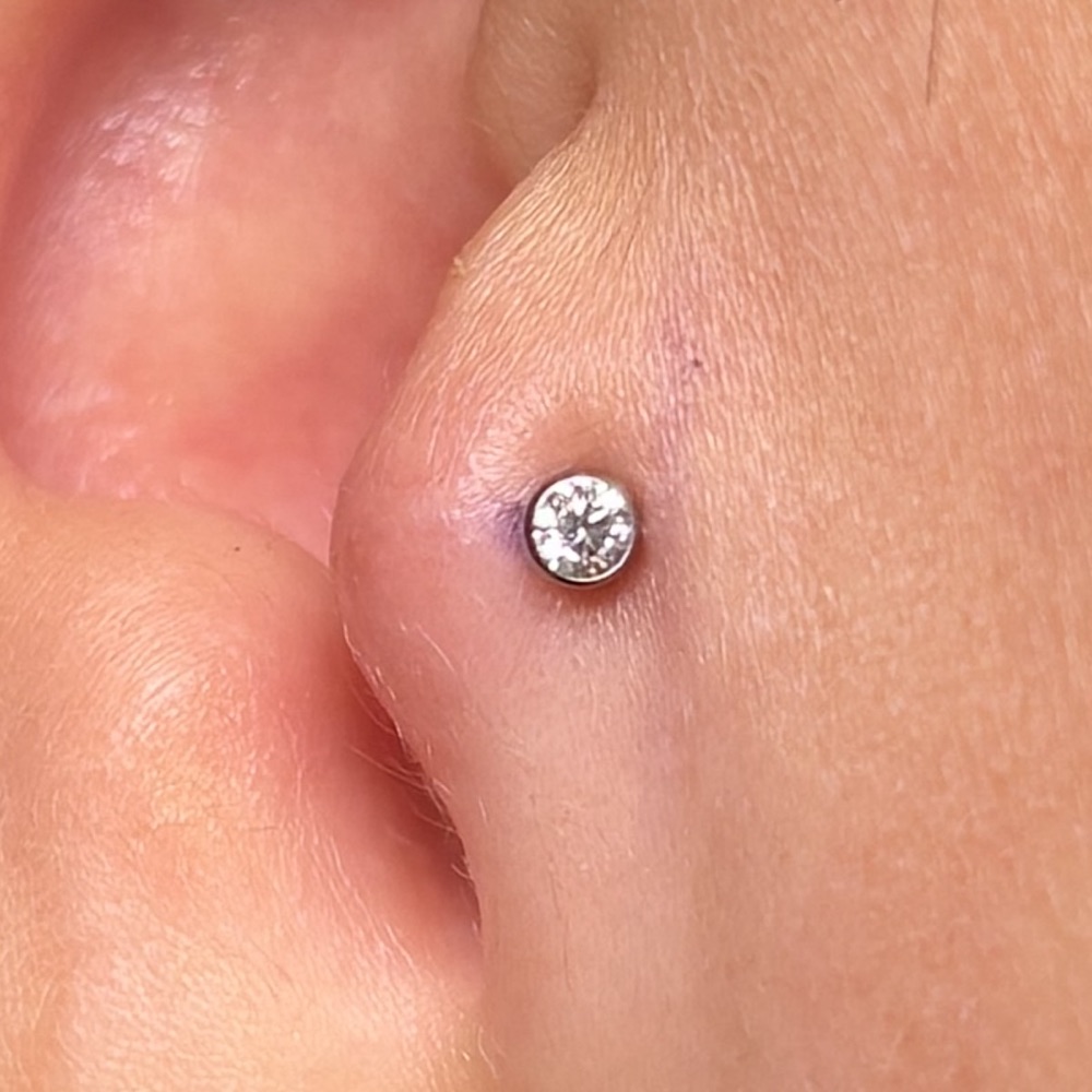 Tragus — Bezel set 2,5mm — Katozz Piercing Sevilla